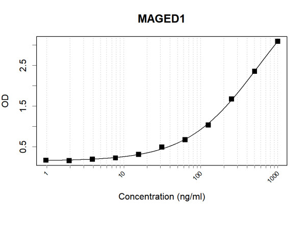 Anti-Human MAGED1 Antibody Pair