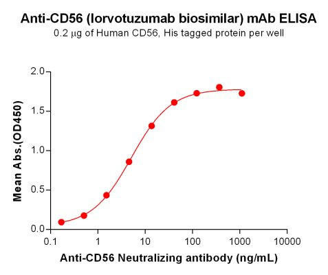 Anti-CD56 (Lorvotuzumab Biosimilar Antibody)