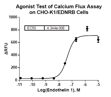 CHO-K1/EDNRB Stable Cell Line