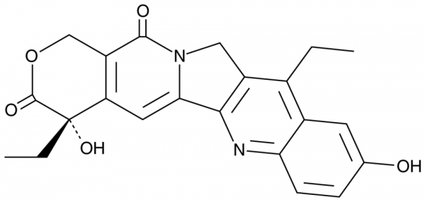 SN-38