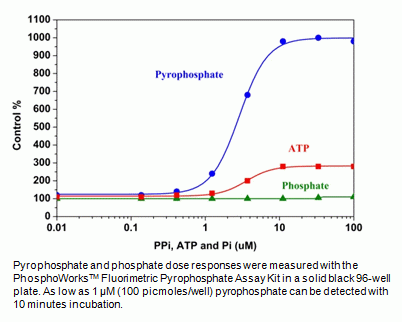 PhosphoWorks(TM) Fluorimetric Pyrophosphate Assay Kit *Blue Fluorescence*
