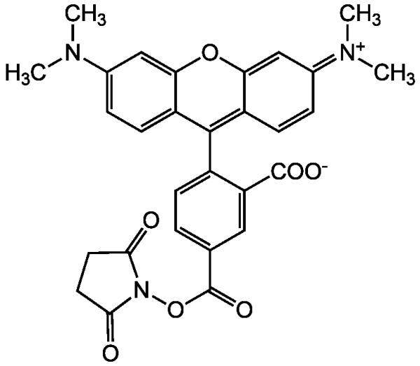 5-TAMRA N-succinimidyl ester