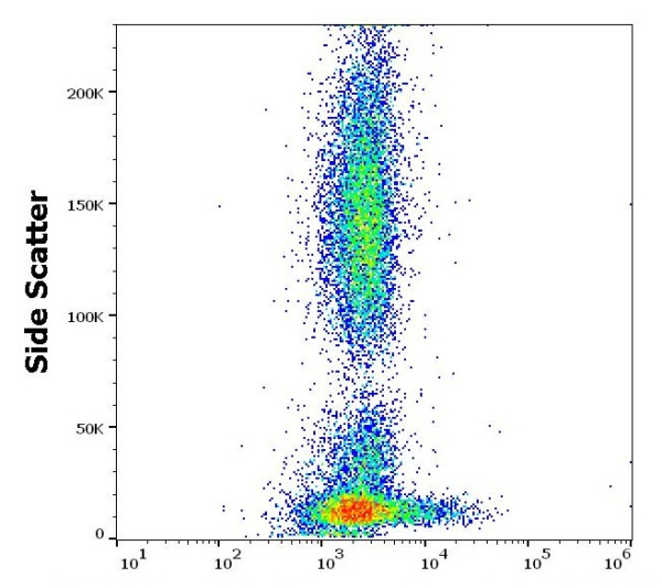 Anti-CD279 / PD-1 (low endotoxin), clone EH12.2H7