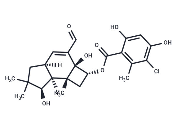Melleolide L