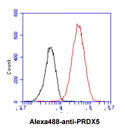 Anti-Peroxiredoxin 5, clone 6A10