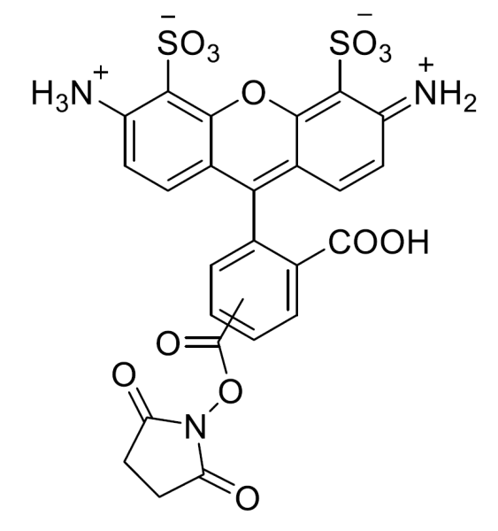 UGA 488 NHS ester [equivalent to Alexa Fluor 488 NHS ester]