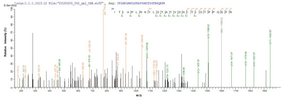 Pregnancy-associated glycoprotein 2 (PAG2), bovine, recombinant