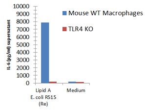 Lipid A from E. coli R515 (Re) TLRpure Sterile Solution