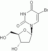 BrdU (5-Bromo-2&#039;-deoxyuridine)