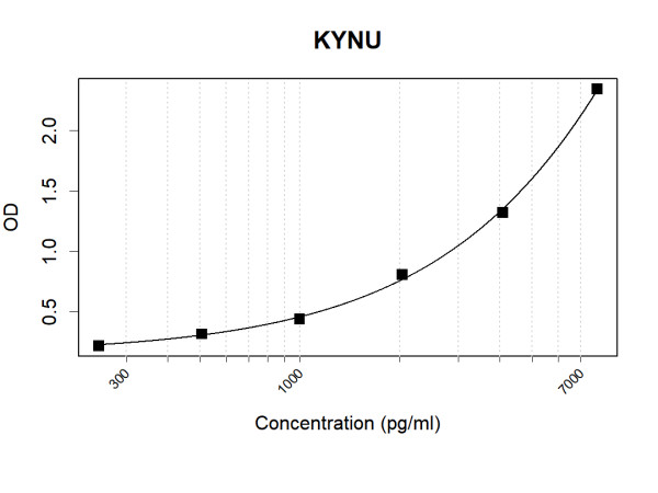 Anti-Human KYNU Antibody Pair