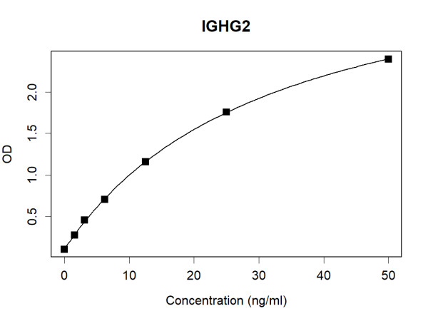 Anti-Human IgG2 Antibody Pair
