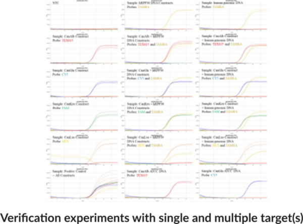 Candidiasis Primary (QuantStudio) Multiplexed qPCR Assay Bundle