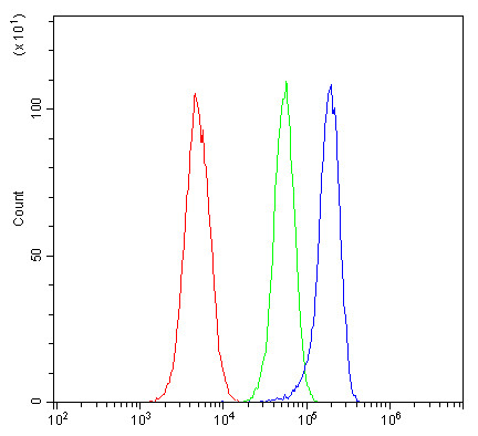 Anti-ACACB / Acetyl Coenzyme A Carboxylase 2