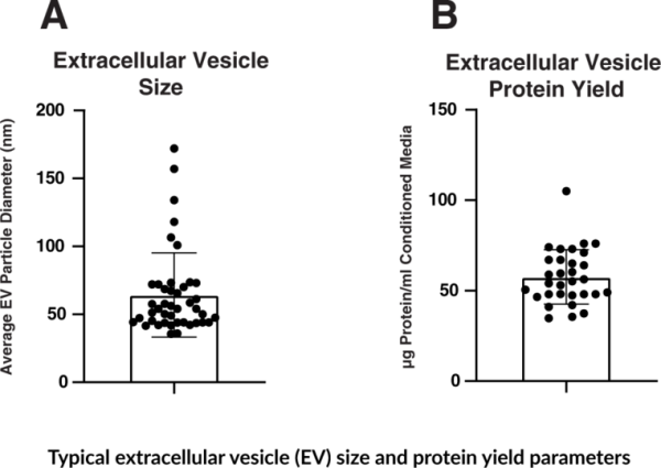 Extracellular Vesicle Isolation Kit (Tissue Culture)