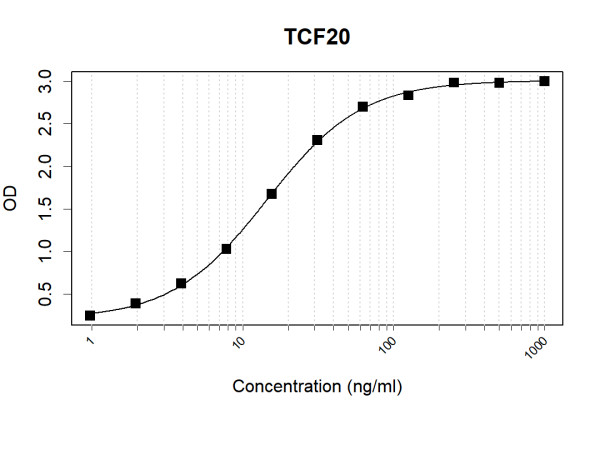 Anti-Human TCF20 Antibody Pair