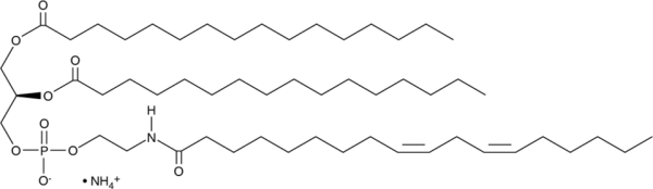 N-Linoleoyl-DPPE (ammonium salt)