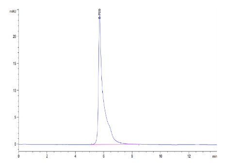 Adiponectin/Acrp30 hFc Chimera, Human