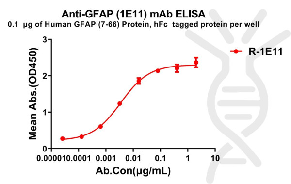 Anti-GFAP(7-66) antibody(1E11), Rabbit mAb