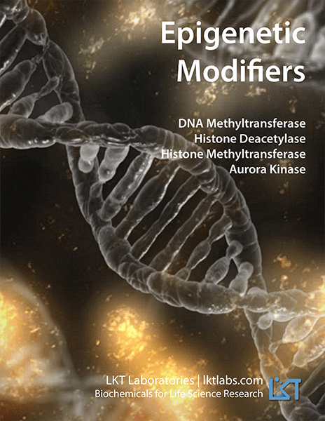  Epigenetic Modifiers