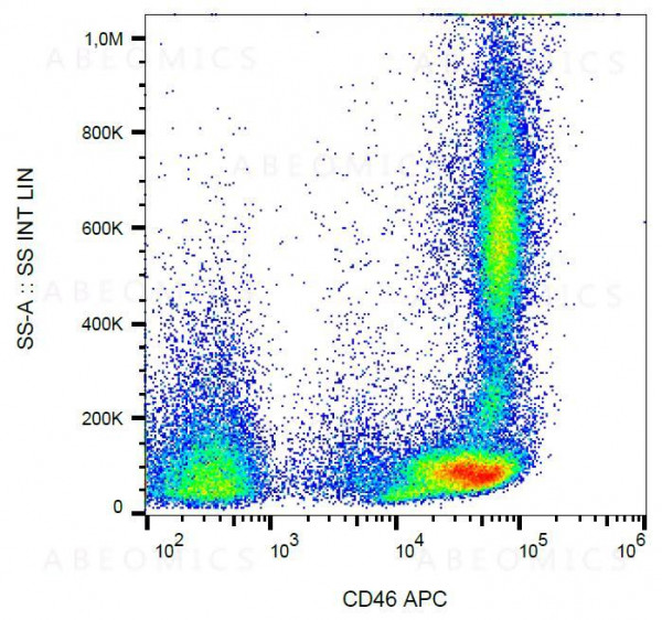 Anti-CD46 / Membrane Cofactor Protein Monoclonal Antibody (Clone:MEM-258)-APC Conjugated