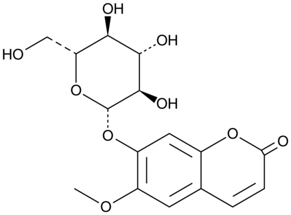 Scopolin