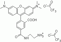 5-TAMRA ethylenediamine