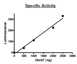 UbcH7 (Sf9) Active human recombinant protein