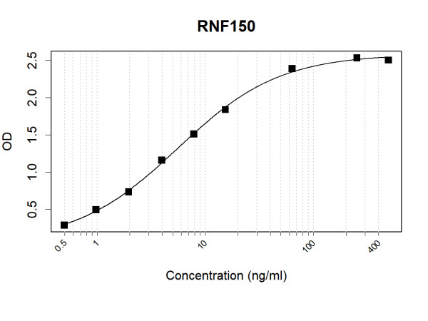 Anti-Human RNF150 Antibody Pair