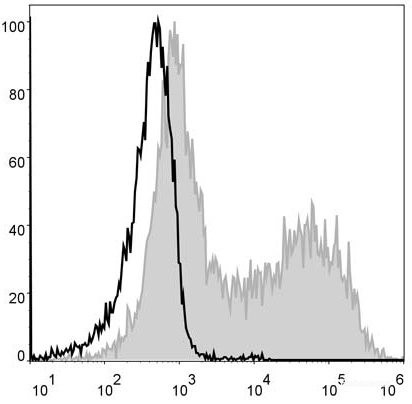 Anti-Mouse MHC II (I-A/I-E) (PE Conjugated)[M5/114], clone M5/114