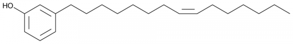Cardanol monoene