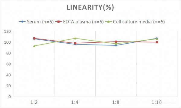 Human GAL3 (Galectin 3) CLIA Kit