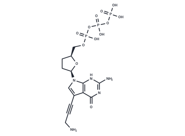 7-Deaza-7-propargylamino-ddGTP