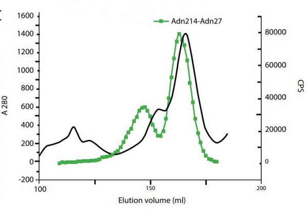 Anti-Adiponectin [Adn27]