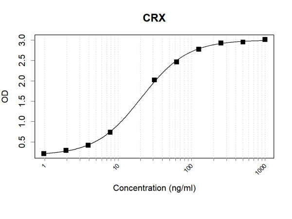 Anti-Human CRX Antibody Pair