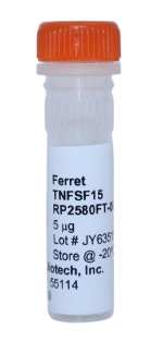 Recombinant Protein (TL1A), tnfsf15 ferret (ftnTNFSF15)