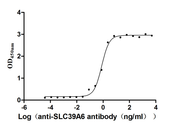 Anti-SLC39A6 Recombinant Monoclonal, clone 13F1