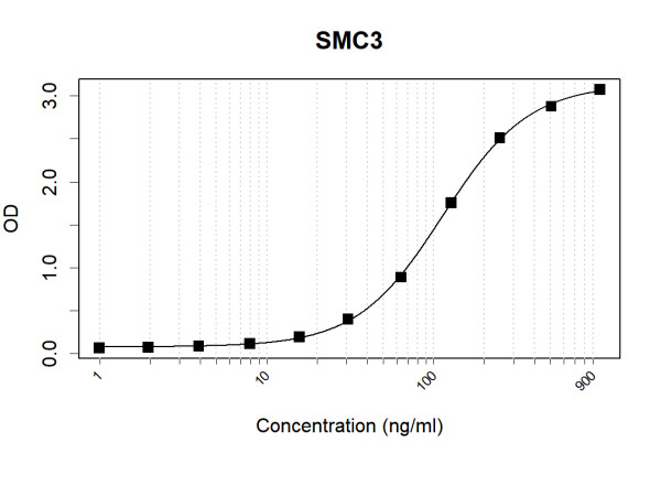 Anti-Human SMC3 Antibody Pair