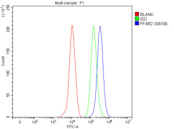 Anti-FFAR2 / Free fatty acid receptor 2