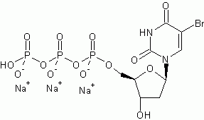 BrdUTP (5-Bromo-2?-deoxyuridine 5?-triphosphate) *10 mM in TE Buffer*