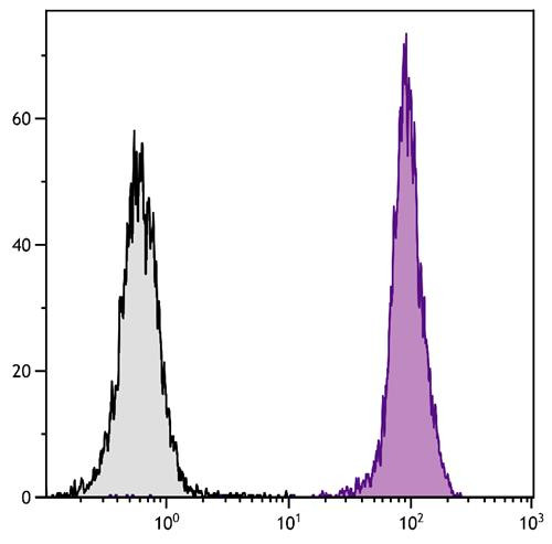 Anti-CD45 (FITC), clone A20