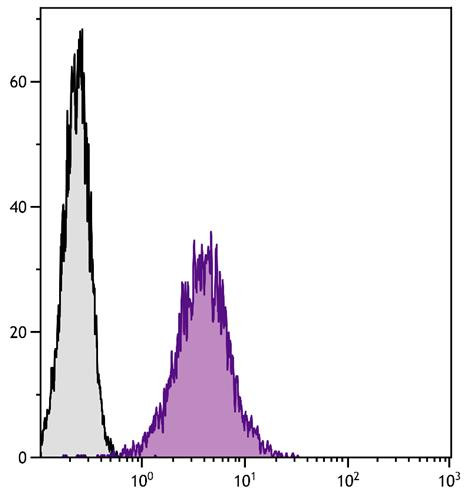 Anti-CD107b, clone ABL-93