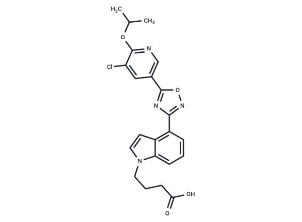 GSK2018682