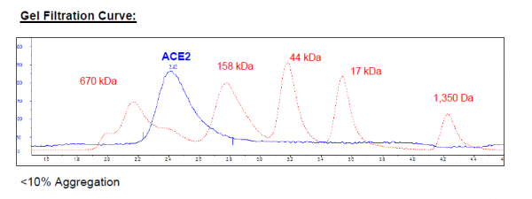 ACE2, His-Avi-Tag, Biotin-labeled HiP(TM) -20 µg