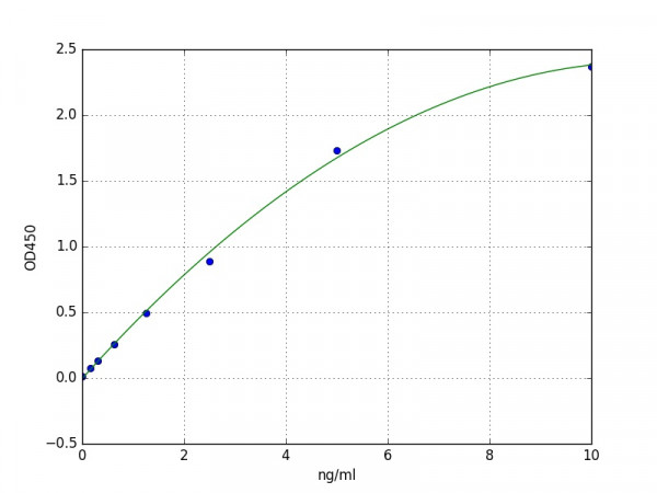 Human Caspase 4 ELISA Kit