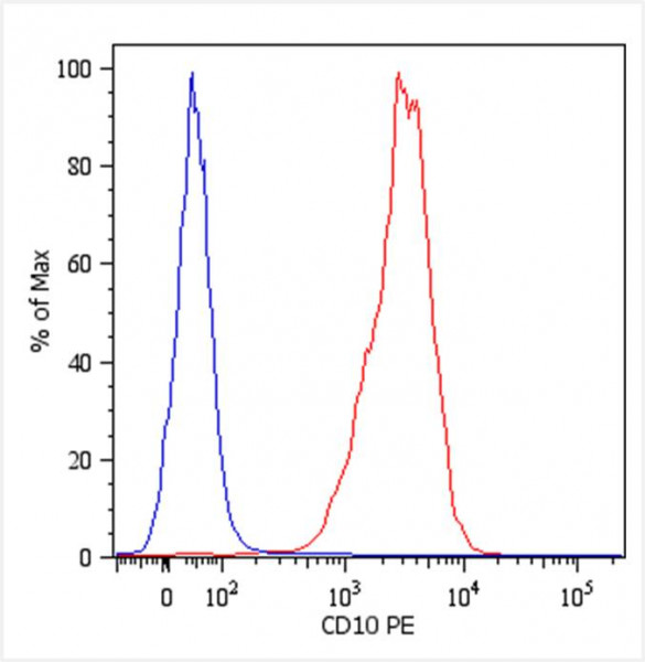 Anti-CD10, clone MEM-78 (PE)