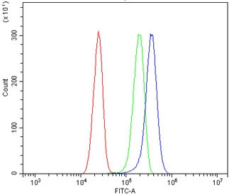 Anti-WNT5B