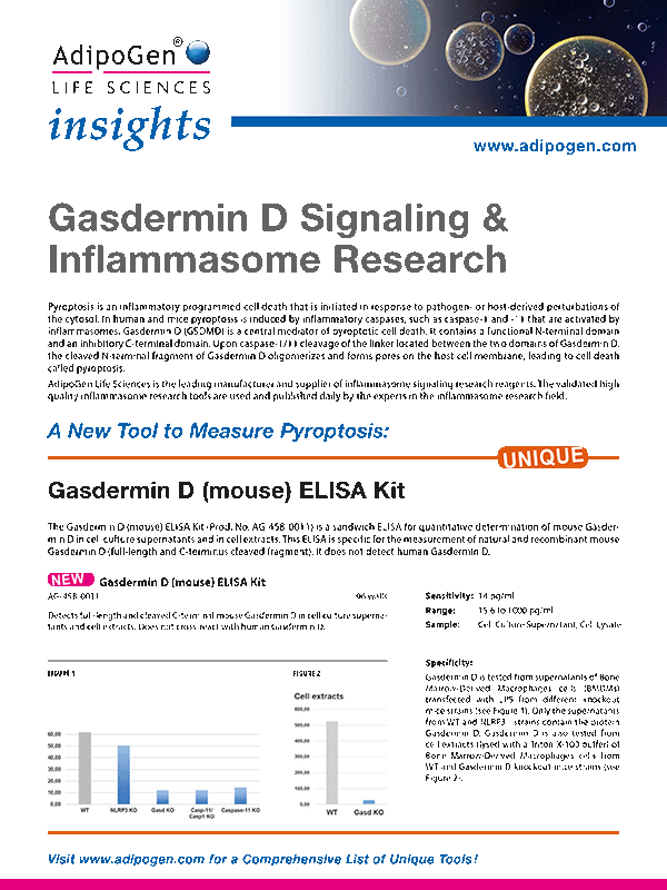 Gasdermin D Signaling