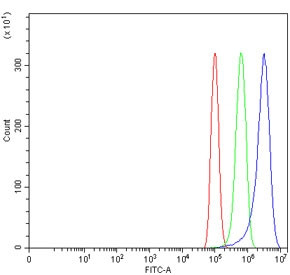 Anti-WNT7A