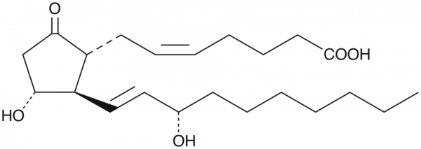 20-ethyl Prostaglandin E2