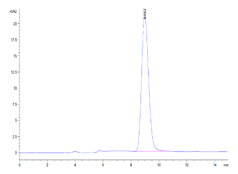 Fc gamma RI/CD64, His, Mouse